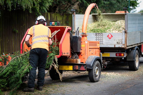 Tree Removal for Businesses in Otsego, MI